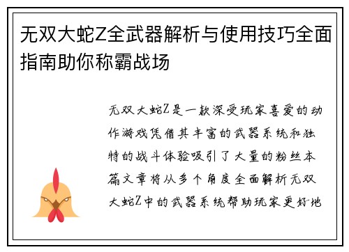 无双大蛇Z全武器解析与使用技巧全面指南助你称霸战场